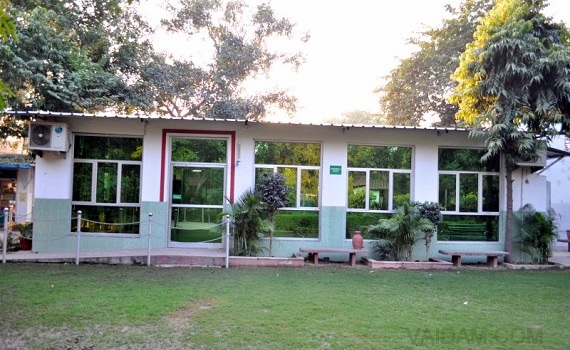 garden_area
